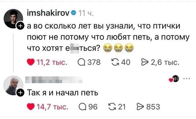 Статичное изображение переписки, где второй участник иронично отвечает на риторический вопрос первого. — пользователь imshakirov, мужчина с 