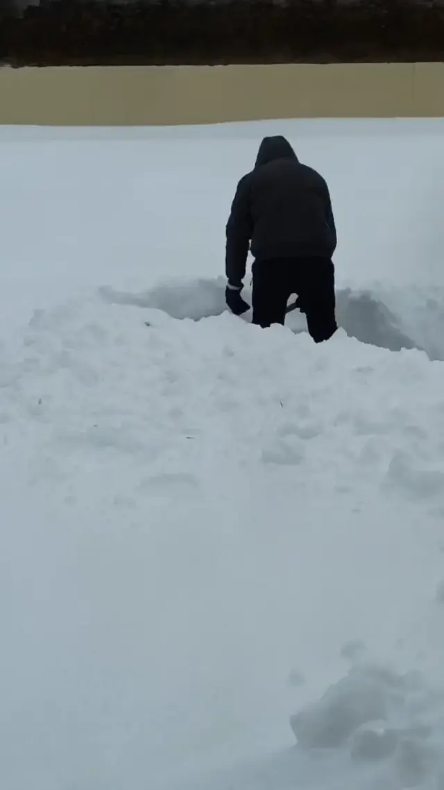 Арктическая тоска