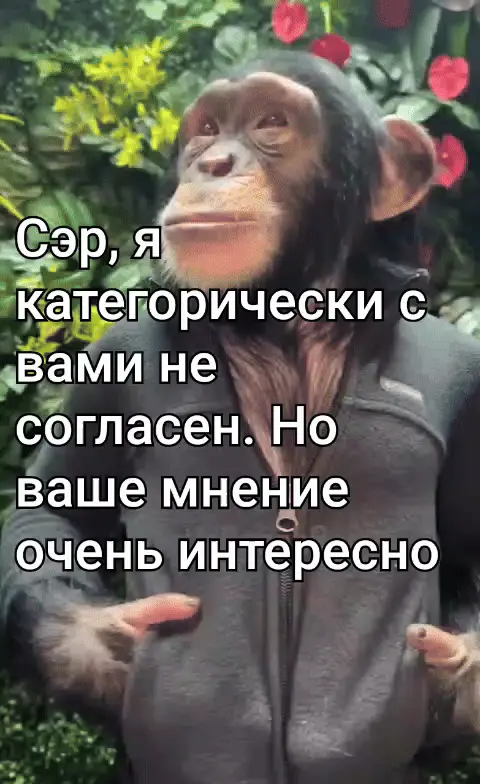 Обезьяна в кофте: Сэр, я категорически с вами не согласен