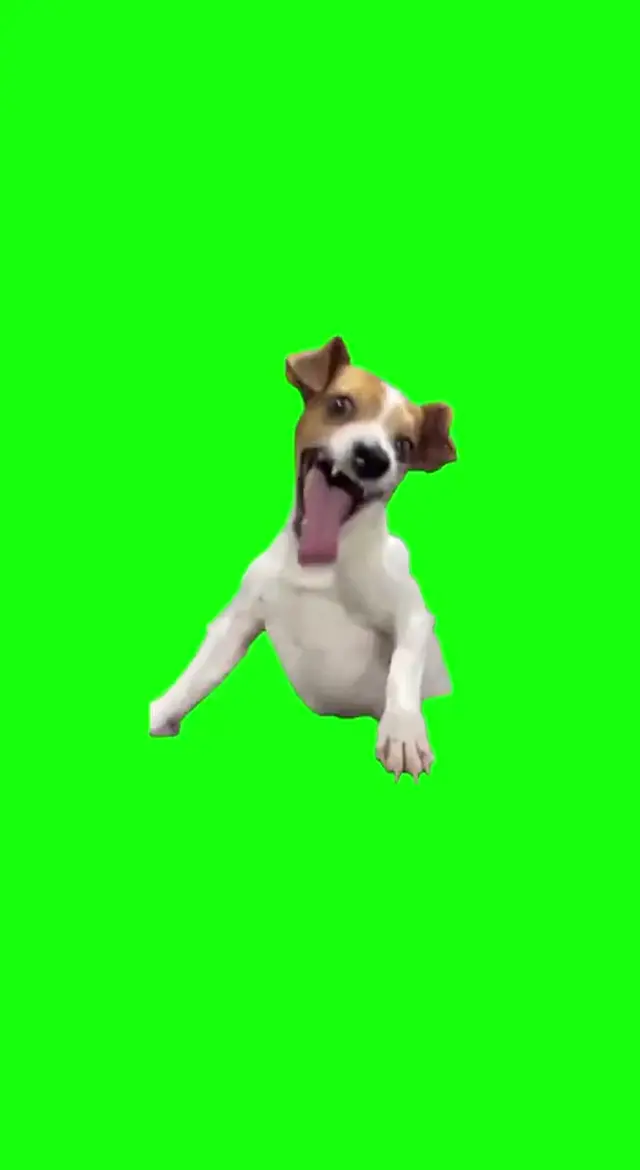 Собака с открытым ртом смеется