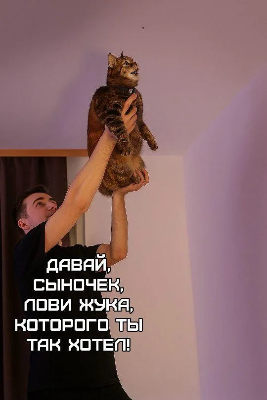 Мужчина поднимает кота на вытянутых руках вверх, имитируя процесс охоты кота на насекомое. — молодой мужчина в черной футболке, кот