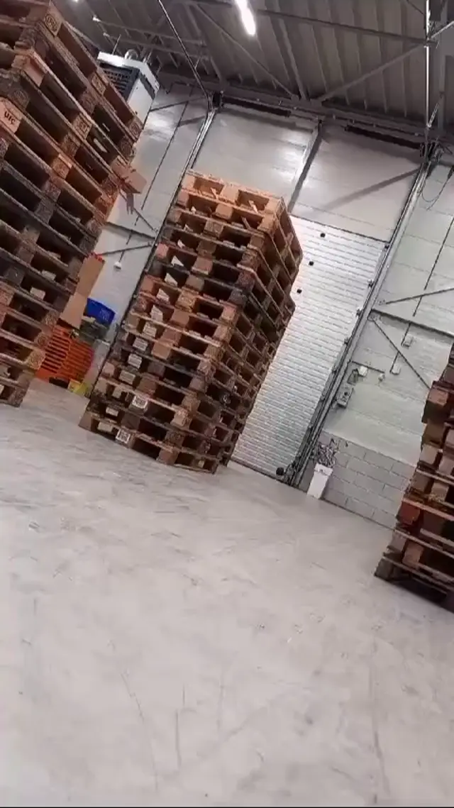 Динозавр из коробок на складе