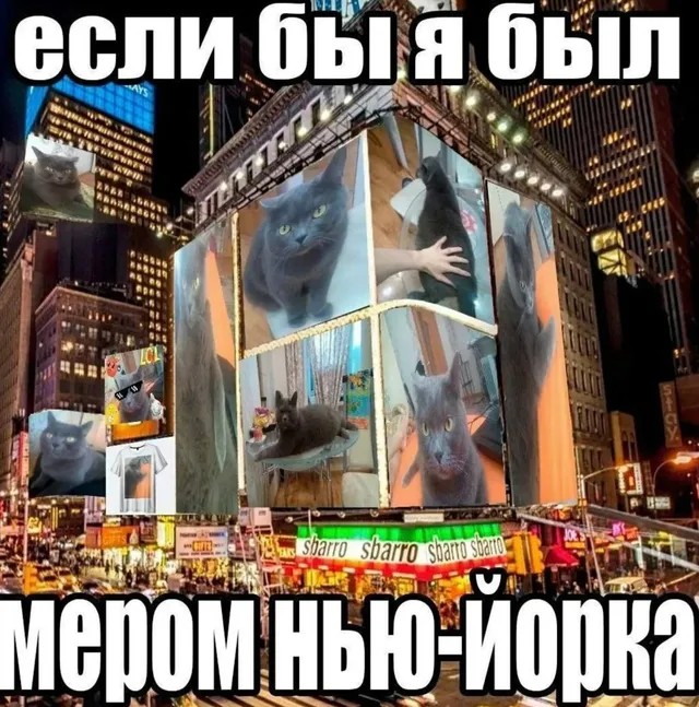 Если бы я был мэром Нью-Йорка