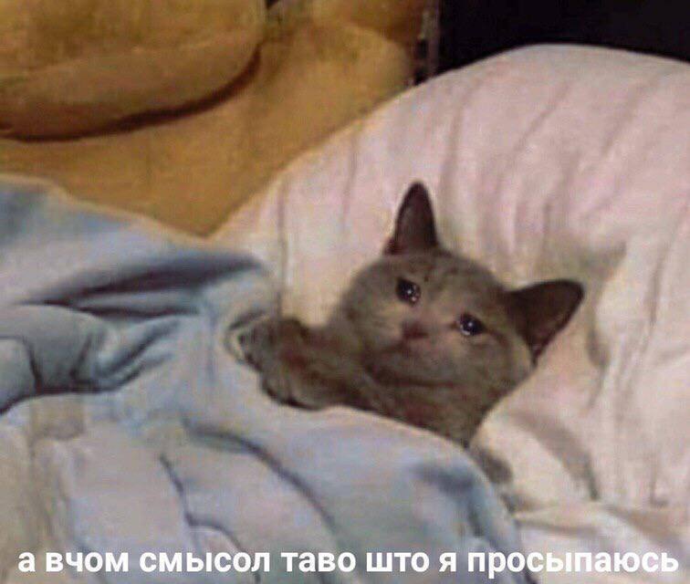 А вчом смысол таво што я просыпаюсь