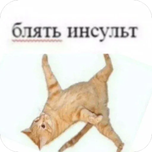 Кот лежит на спине в странном, почти «сломанном» положении, напоминая упавшую игрушку. — рыжий кот