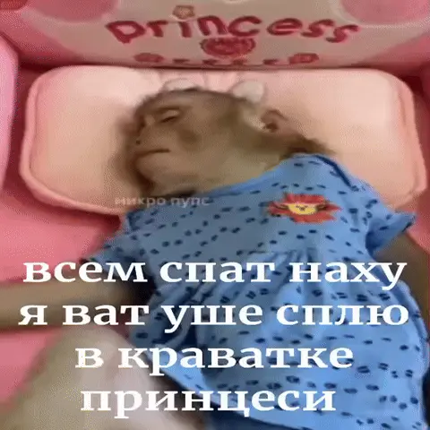 Обезьянка лежит на спине в розовой детской кроватке с закрытыми глазами и крепко спит — Маленькая обезьянка в синем платье