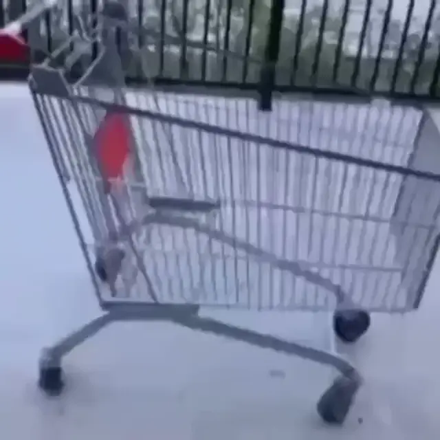 Будем кататься на тележке
