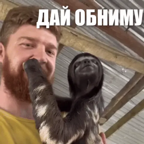 Дай обниму
