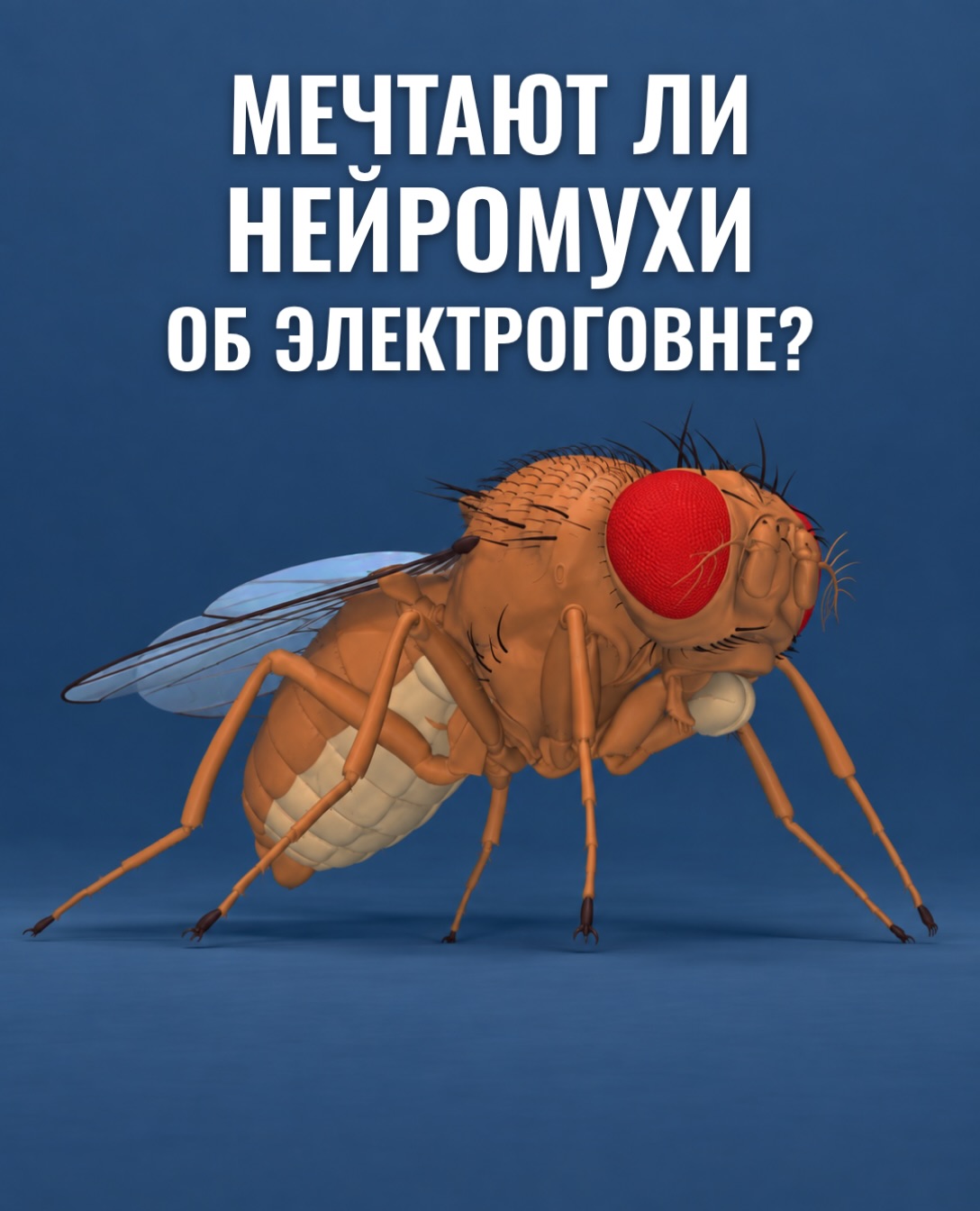Мечтают ли нейромухи об электроговне