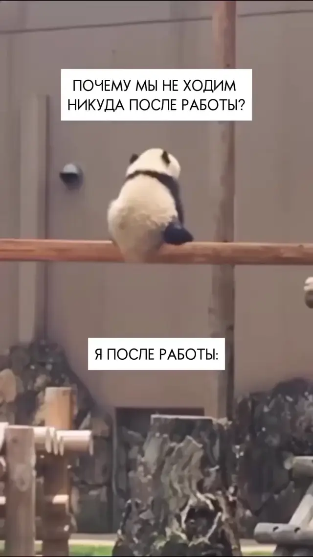 Я после работы: уставшая панда