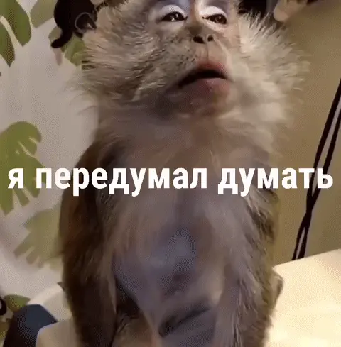Я передумал думать