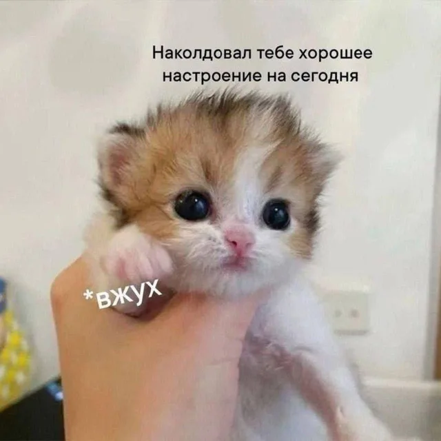 Наколдовал тебе хорошее настроение