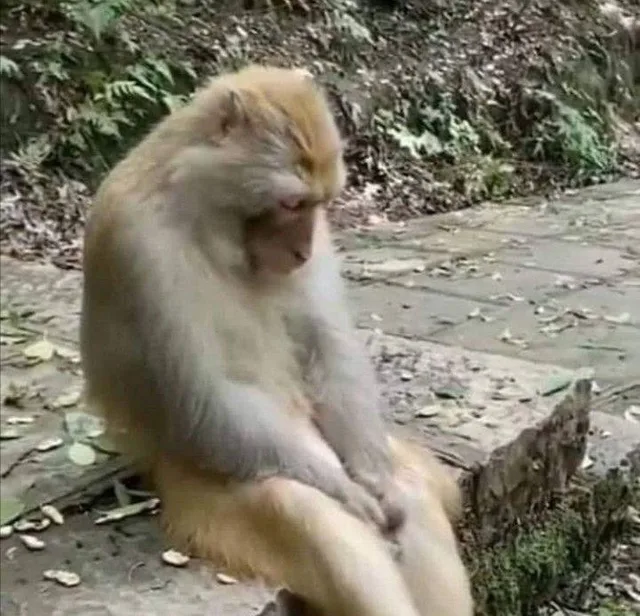 Когда осознал тщетность бытия