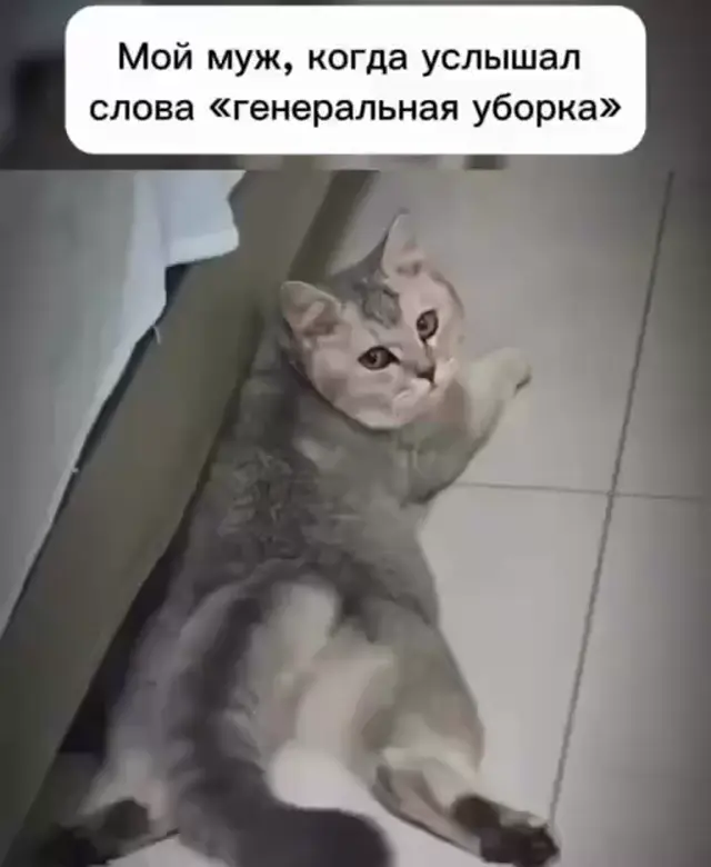 Муж и генеральная уборка
