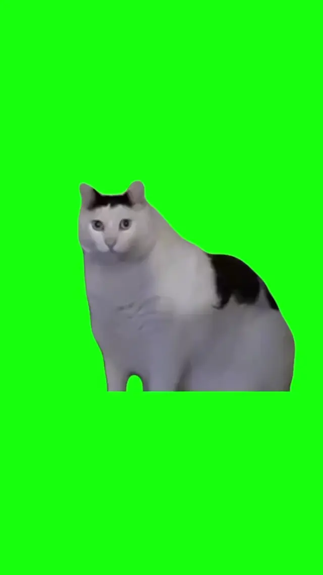 Мемный кот Huh на зеленом фоне