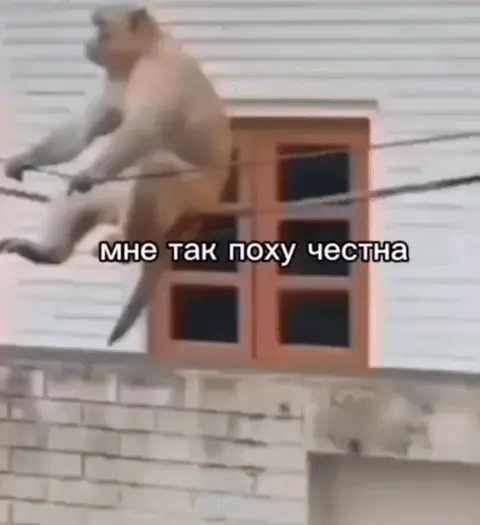 Мне так поху честна