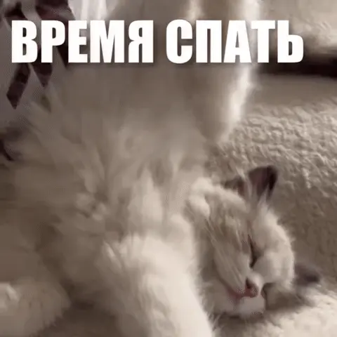 Время спать