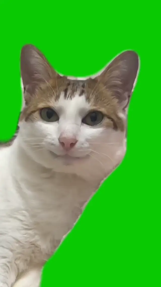 Ухмыляющийся кот на зеленом фоне