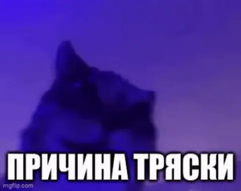 Кот ритмично качается из стороны в сторону, создавая эффект «тряски» или агрессивного кивания. — кот