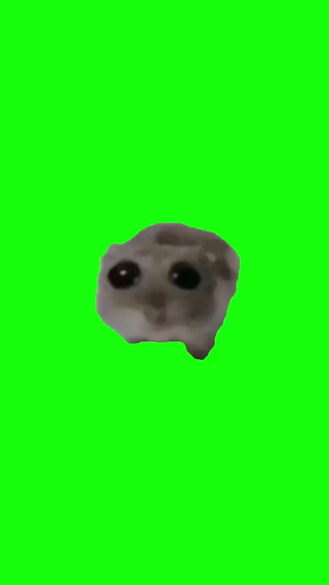 Грустный хомяк поет Cotton Eye Joe на хромакее