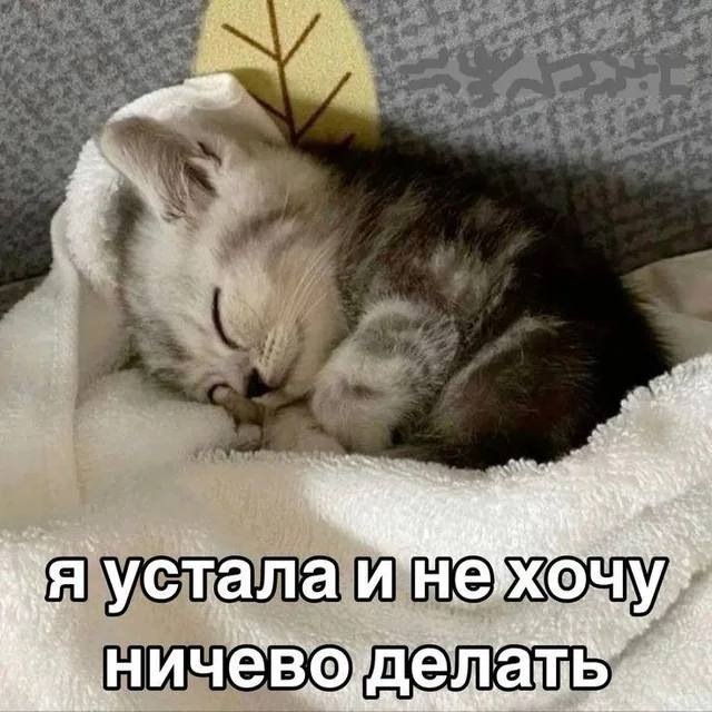 Я устала и не хочу ничего делать