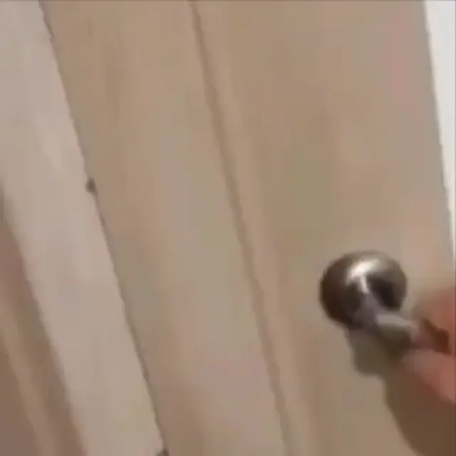 Сказал всех — значит всех!