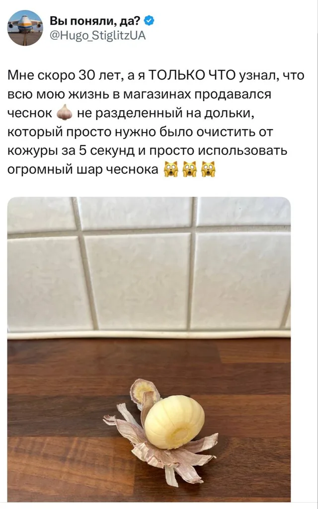 Огромный шар чеснока