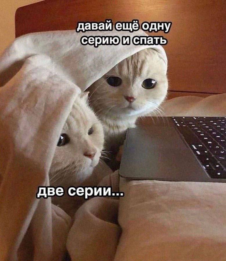 Давай ещё одну серию и спать