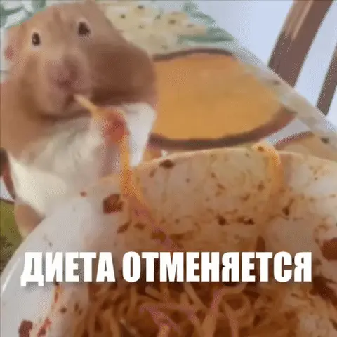 Хомяк ест спагетти: диета отменяется