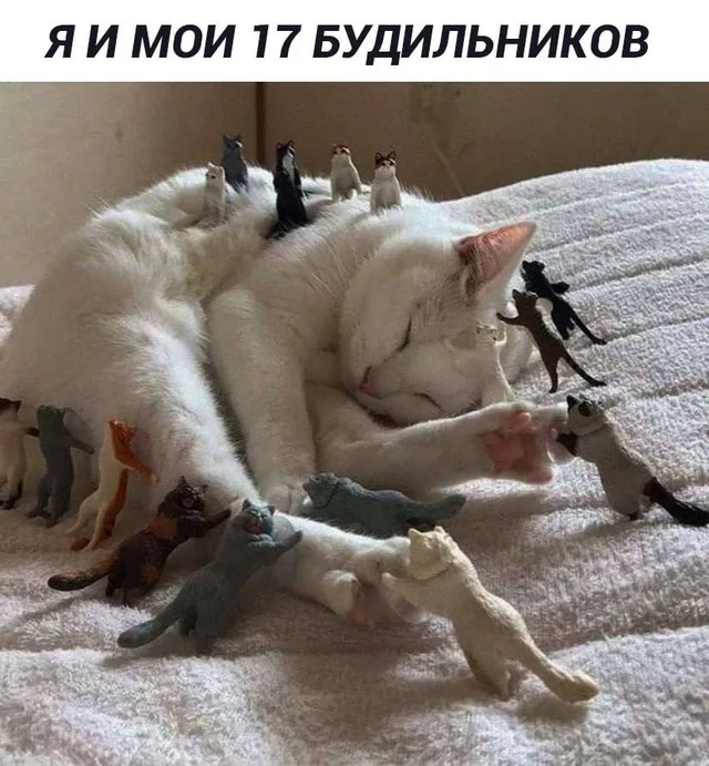 Кот неподвижно спит, окруженный игрушечными фигурками. — белый кот