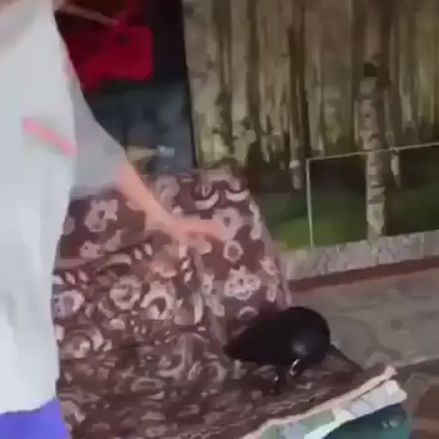 Вот это нихуя себе!