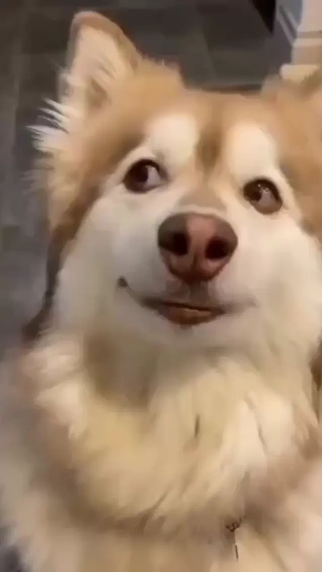 Когда пытаешься вежливо улыбнуться