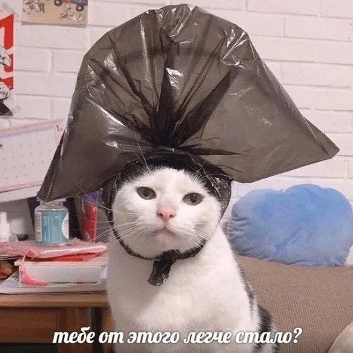 Тебе от этого легче стало?