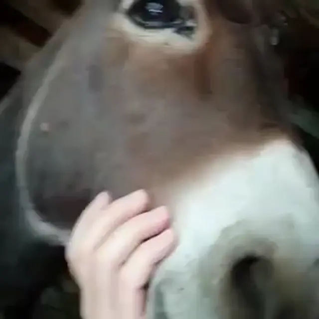 Знай себе цену!