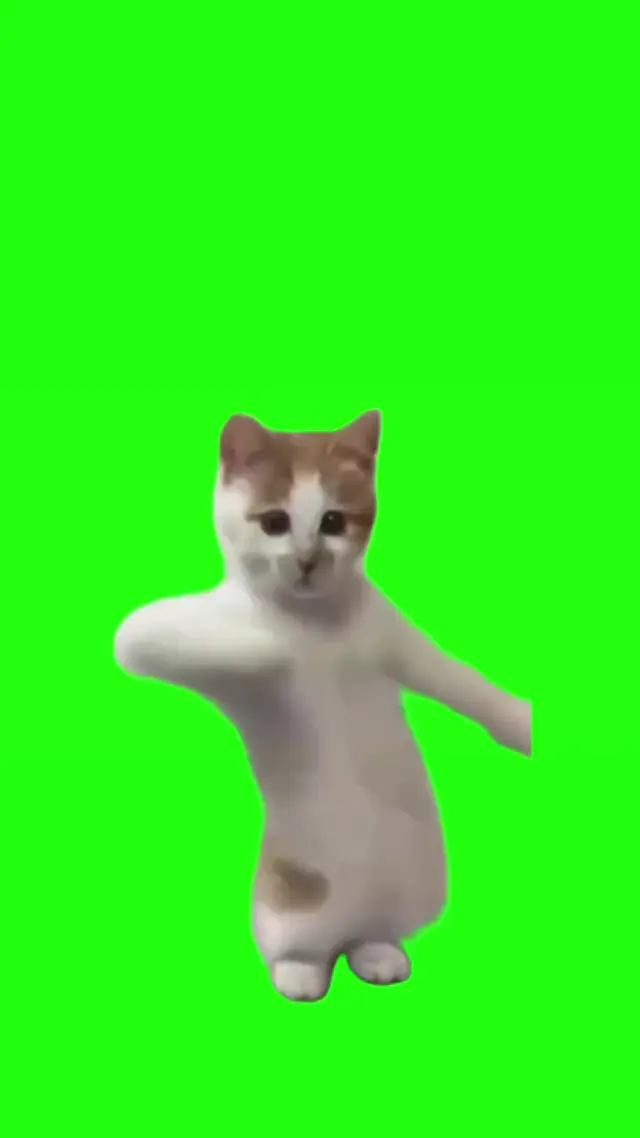 Танцующий кот на зеленом фоне