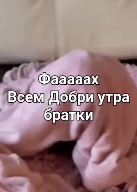 Обезьянка просыпается под пледом