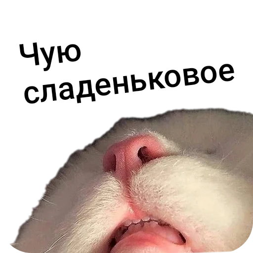 Чую сладеньковое