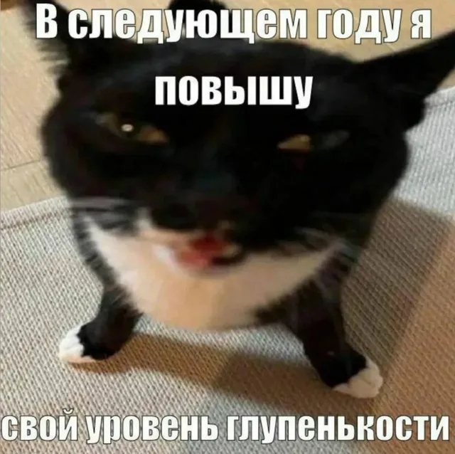 Повышу уровень глупенькости