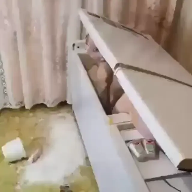 Я тебя в психклинику сдам!