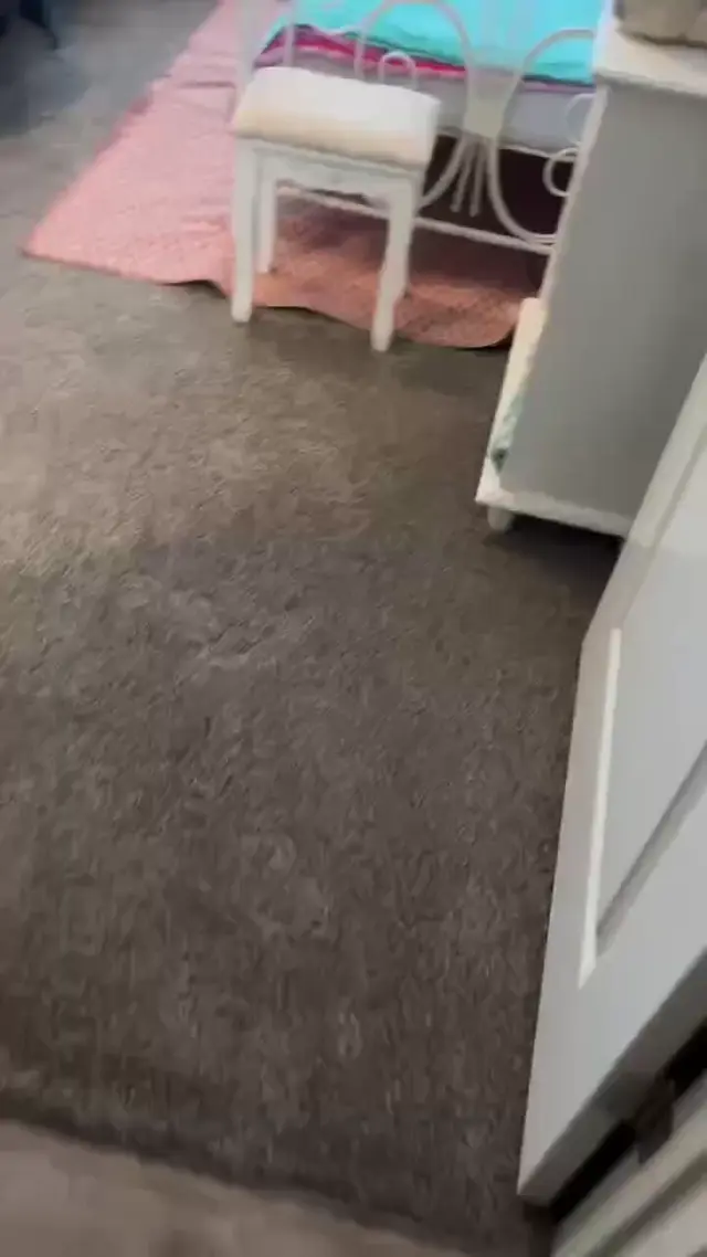 Кот запутался в пряже