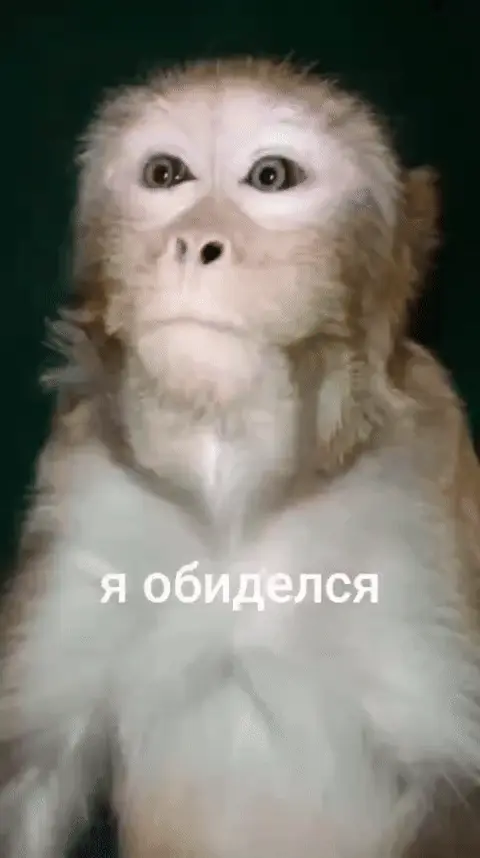 Я обиделся