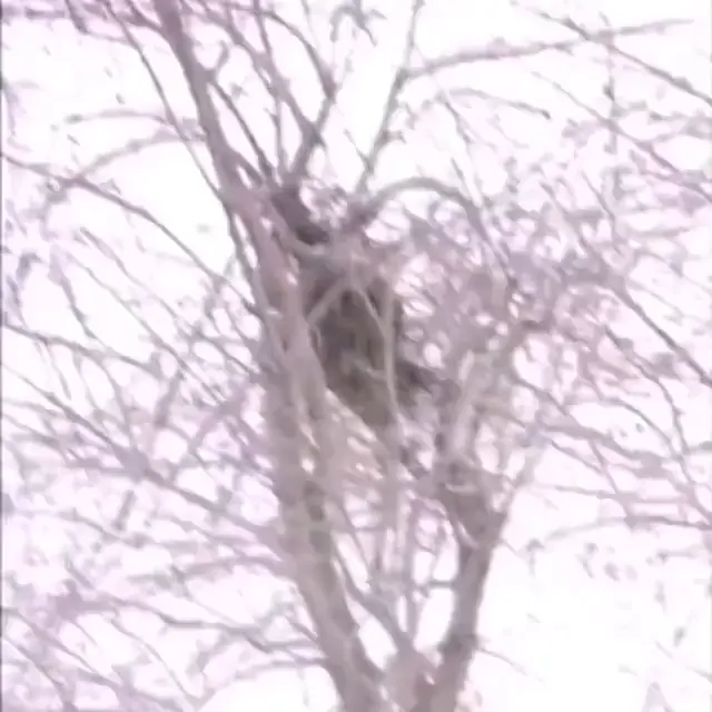 Чирик-чирик, ёбаные в рот, друзья!