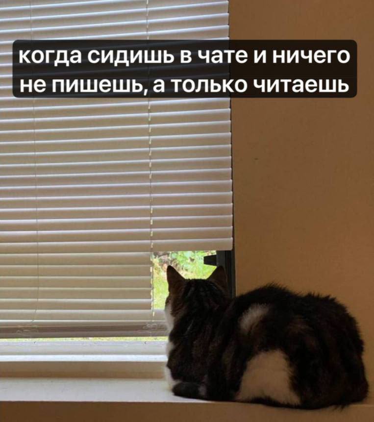 Когда сидишь в чате и ничего не пишешь, а только читаешь