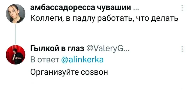 Текст сообщения с вопросом о нежелании работать и ответ на него, предлагающий провести созвон. — автор поста с ником амбассадоресса чувашии,