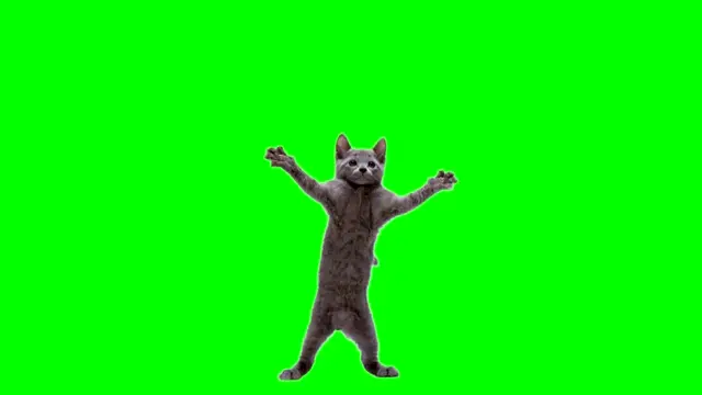 Танцующий серый котенок на зеленом фоне