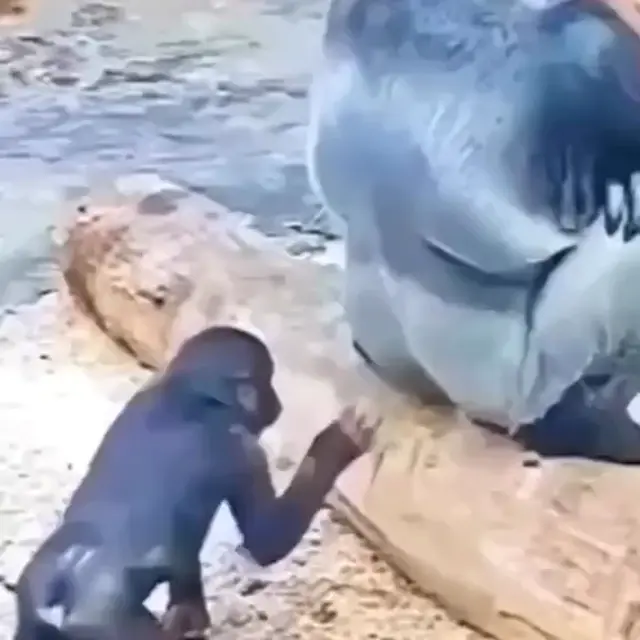 У тебя дырки в жопе нет?