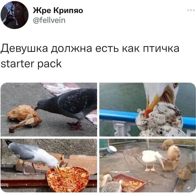 Коллаж из четырех изображений птиц, которые едят нетипичную для них или очень крупную пищу. — автор поста @fellvein