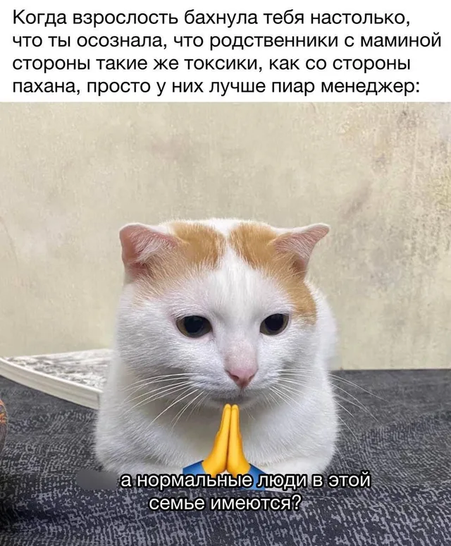 Кот смотрит вниз с выражением усталости и разочарования, перед ним эмодзи сложенных ладоней — Рыже-белый кот с грустным взглядом