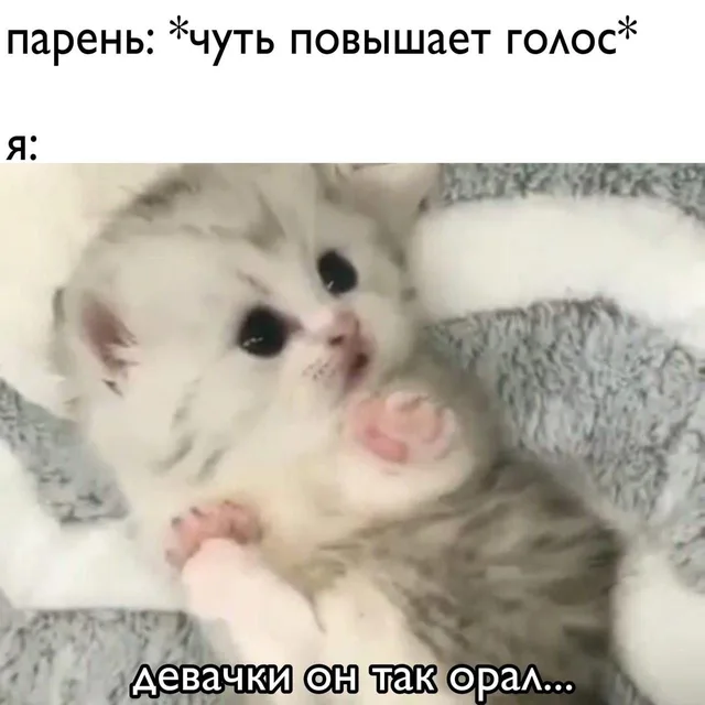 Девочки, он так орал
