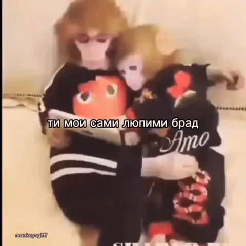 Две обезьяны в худи сидят вместе, одна обнимает другую и смотрит в планшет — Две обезьяны в черных худи